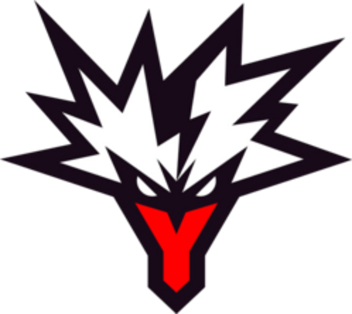 Team Yandex logo