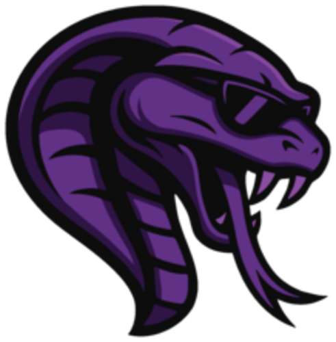Логотип Team Cobra